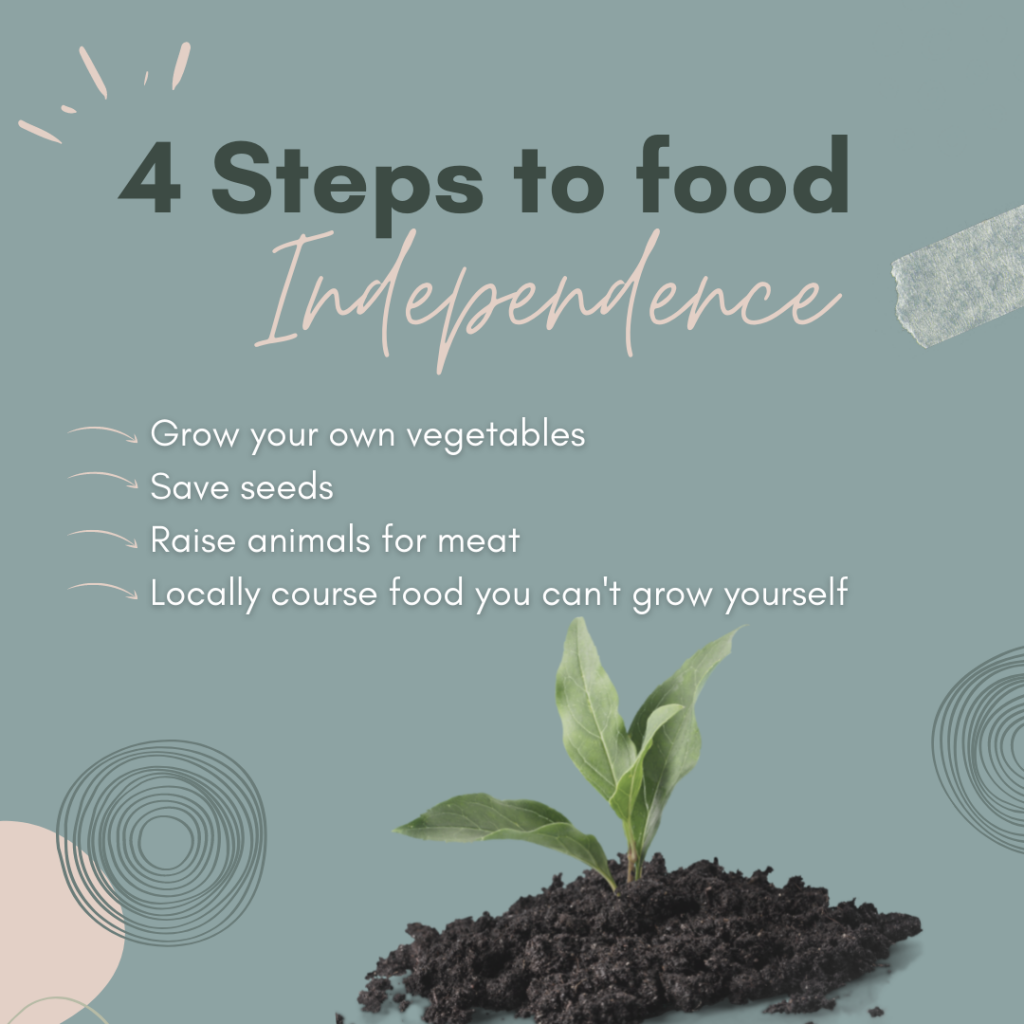 4 steps to food independence