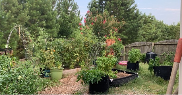 Is it time to start planning next years garden and buy seeds?