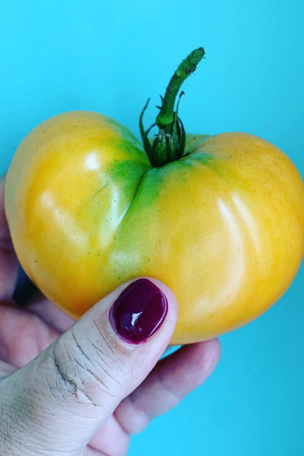 What am I Growing in My Vegetable Garden This Year?