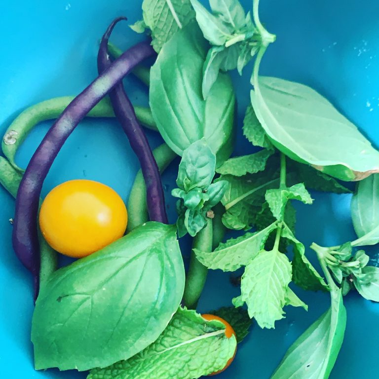 How many plants do you need to feed your family?