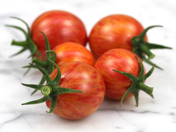 pink bumblebee tomatoes veggies for an enchanted garden