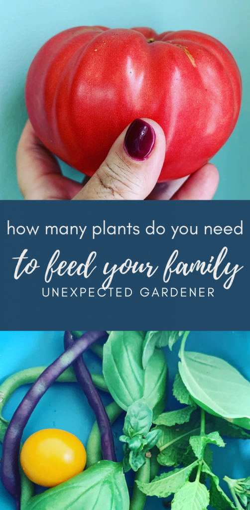 how many plants do you need to feed your family?