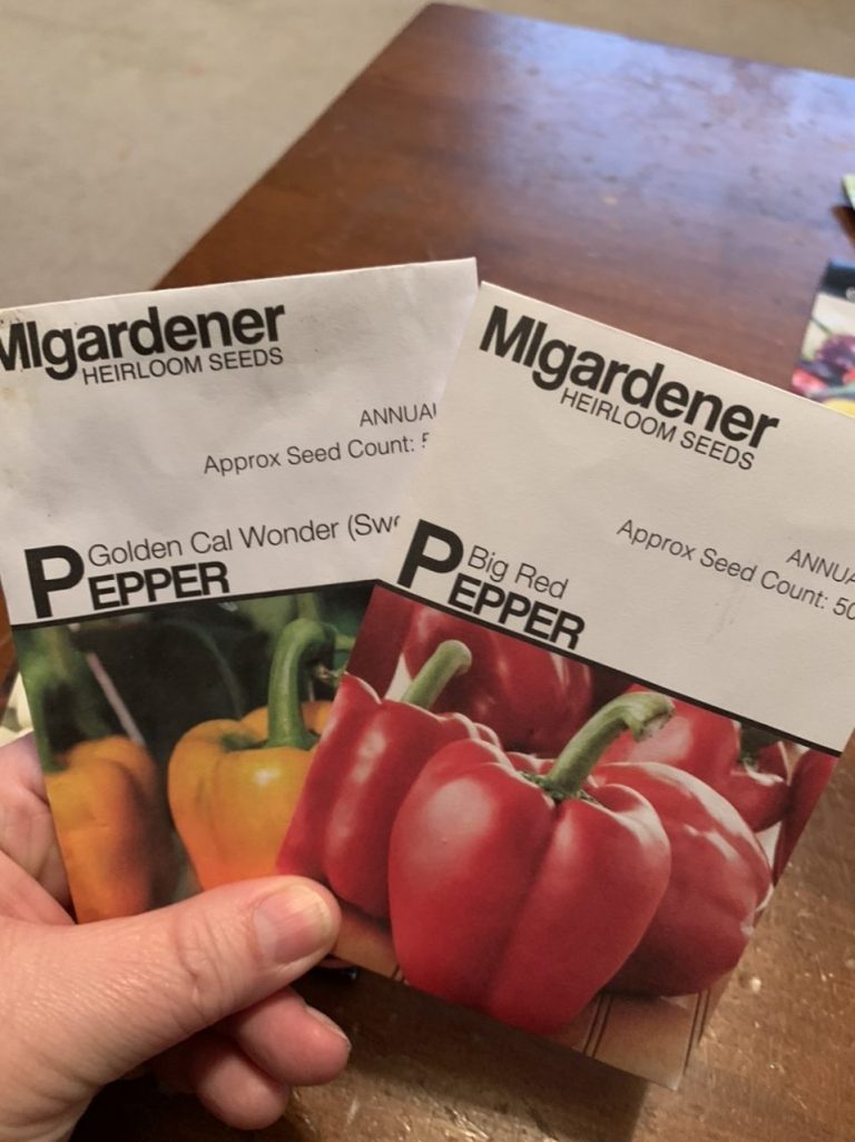 Plan Your Garden With My Free Garden Planning Graph!