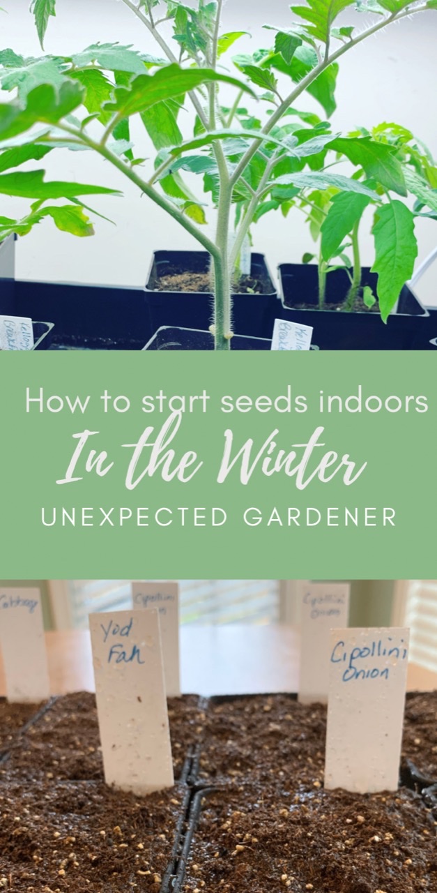How to Start Seeds Indoors in The Winter￼